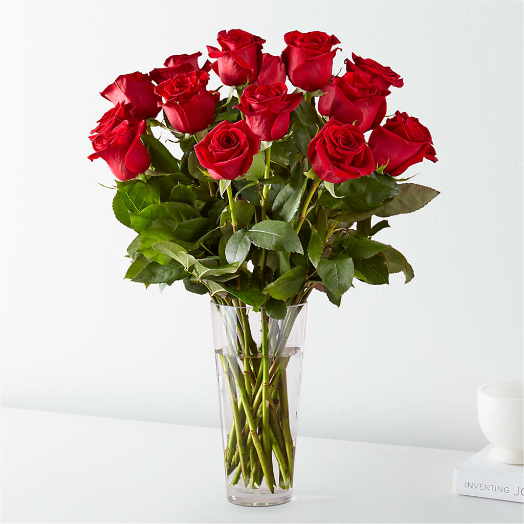 Long-stemmed Red Roses – Evans-king Floral, Forty Fort PA