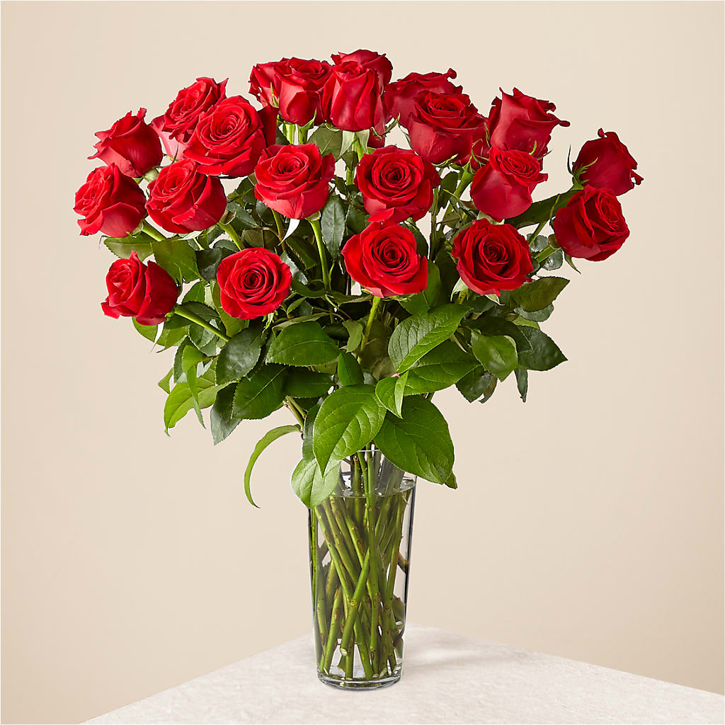 Long-stemmed Red Roses