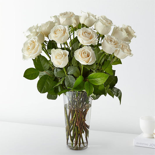 Long-stemmed White Roses