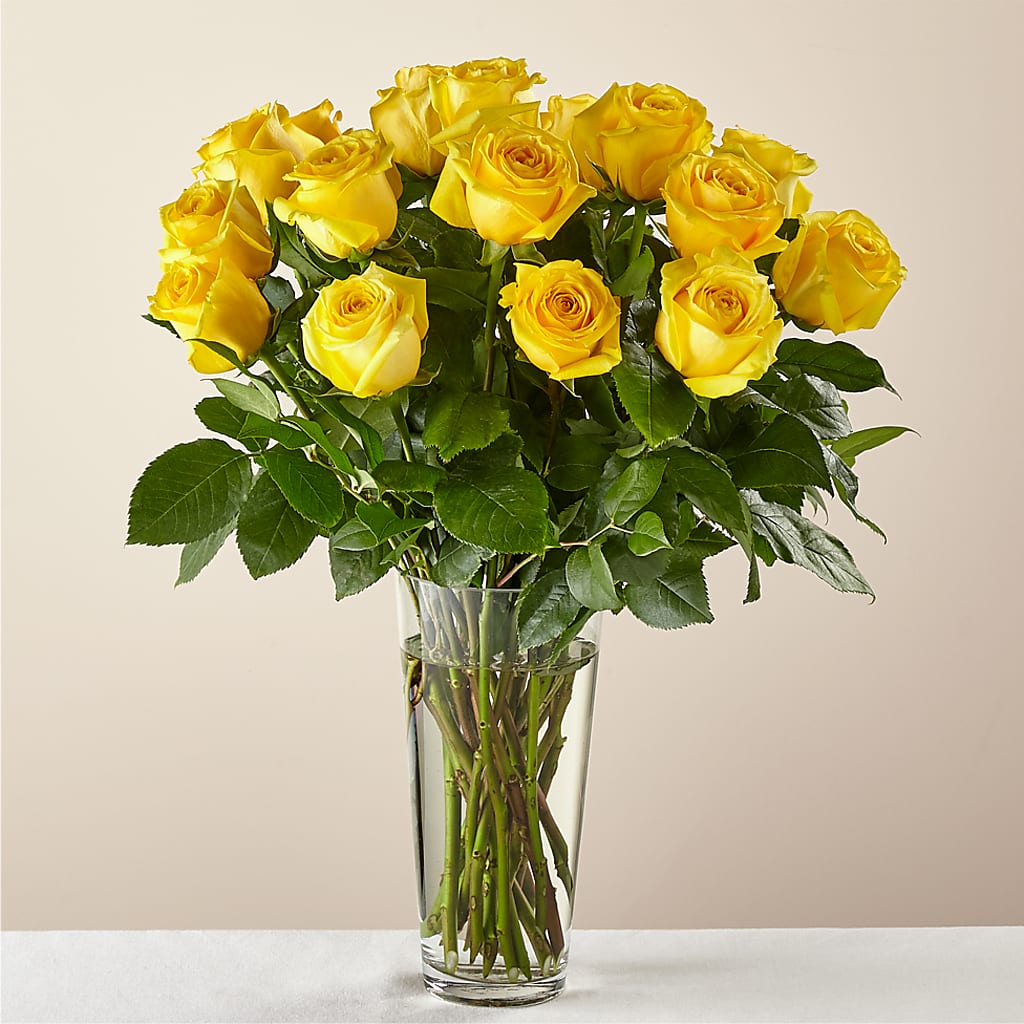Yellow Long-stemmed Roses – Evans-king Floral, Forty Fort PA