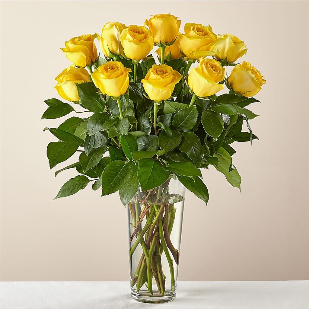 Yellow Long-stemmed Roses – Evans-king Floral, Forty Fort PA
