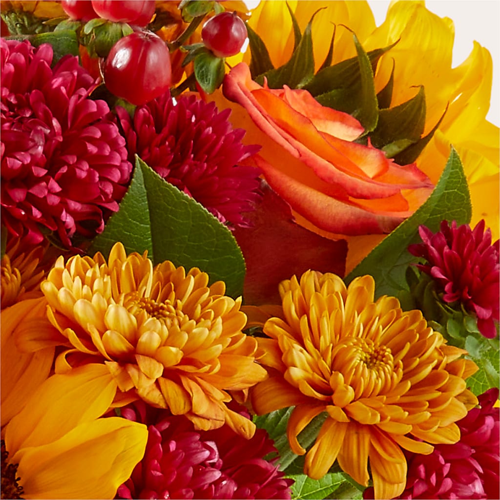 Sweater Season - A Florist Original – Evans-king Floral, Forty Fort PA