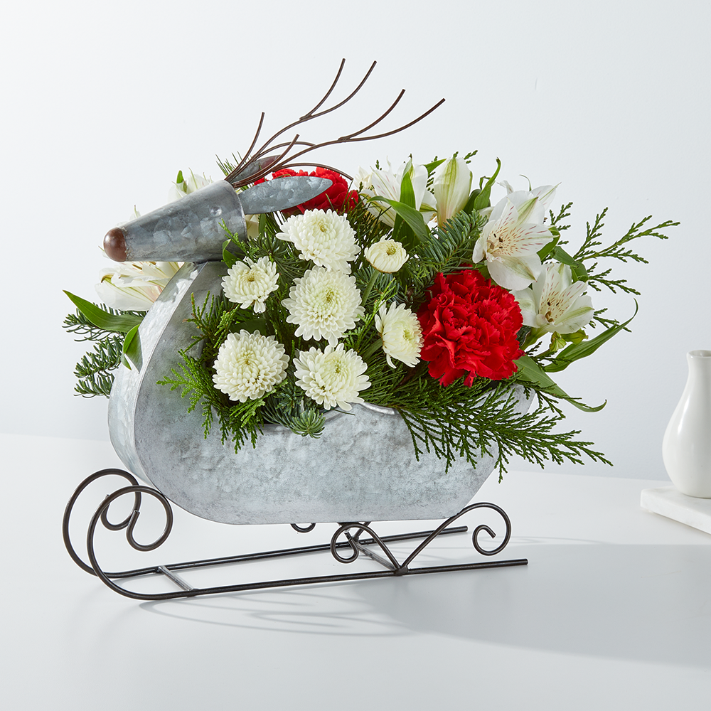 Sleigh Ride – Evans-king Floral, Forty Fort PA
