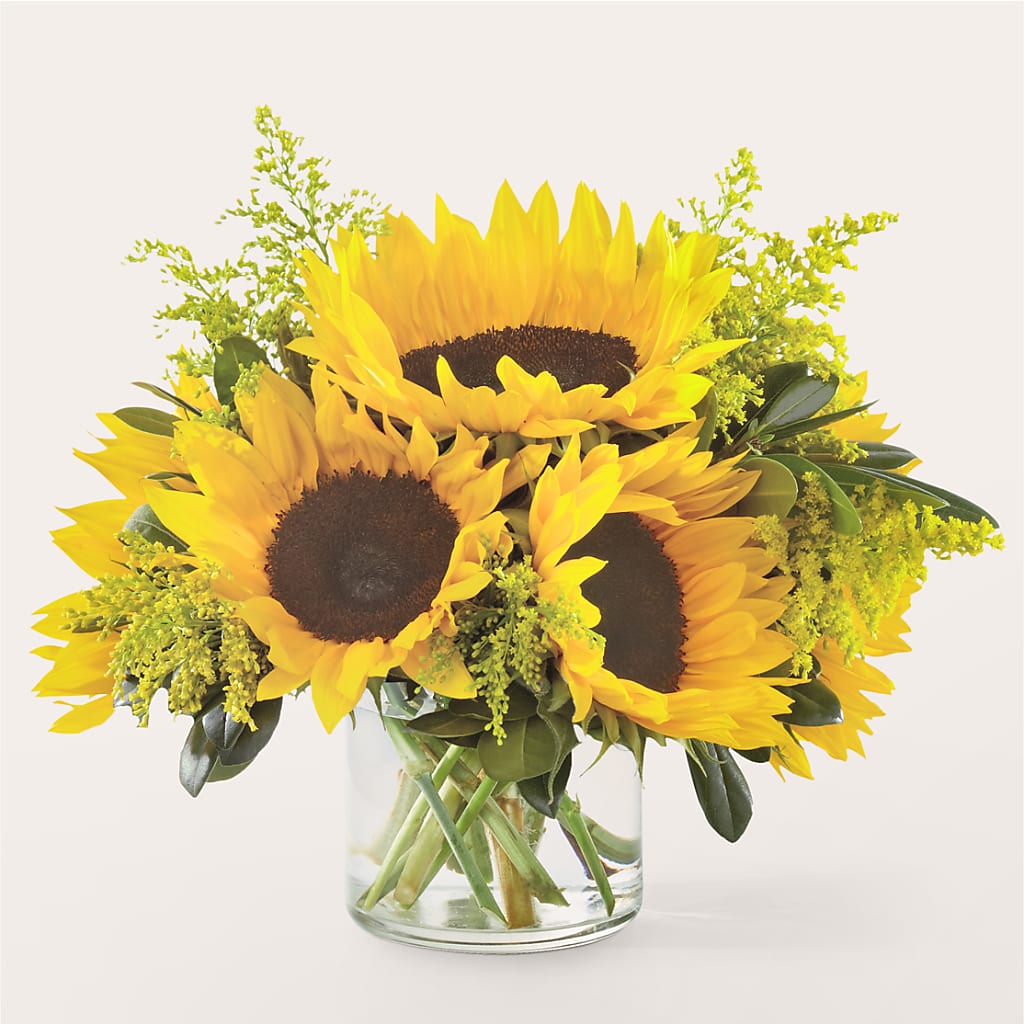 Beaming Sunflower Bouquet – Evans-king Floral, Forty Fort PA