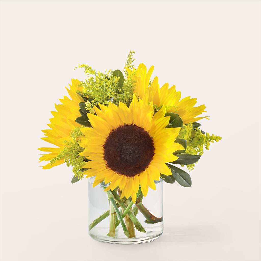 Beaming Sunflower Bouquet – Evans-king Floral, Forty Fort PA
