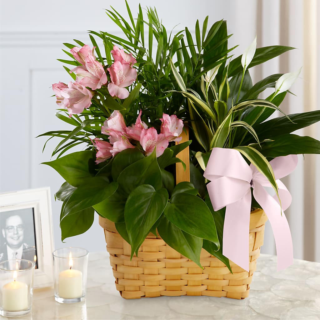 Living Spirit Dishgarden – Evans-king Floral, Forty Fort PA