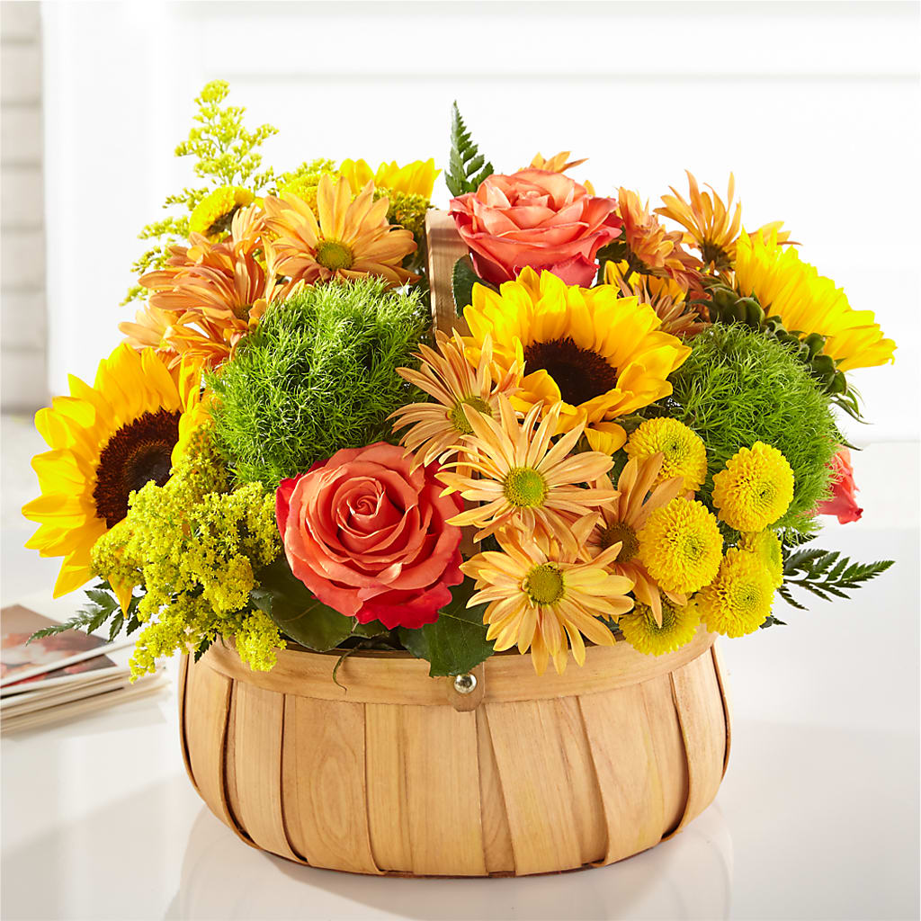 Harvest Sunflower Basket – Evans-king Floral, Forty Fort PA