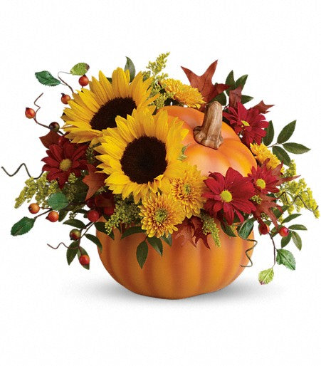 Pretty Pumpkin – Evans-king Floral, Forty Fort PA