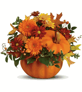 Country Pumpkin – Evans-king Floral, Forty Fort PA