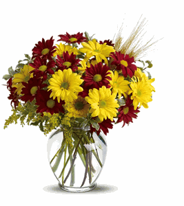 "Fall" For Daisies – Evans-king Floral, Forty Fort PA
