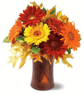 Autumn Gerberas – Evans-king Floral, Forty Fort PA