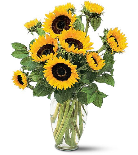 Shining Sunflowers – Evans-king Floral, Forty Fort PA