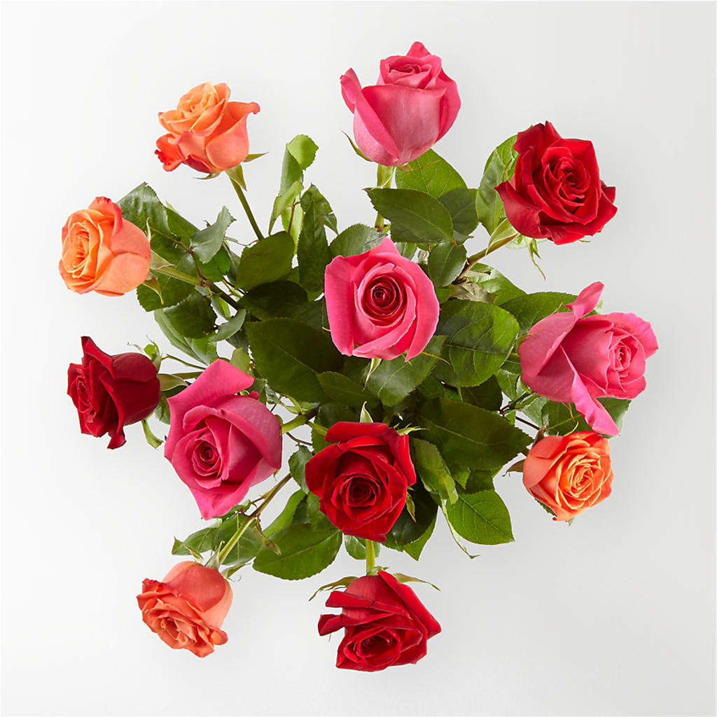 Ever After Roses