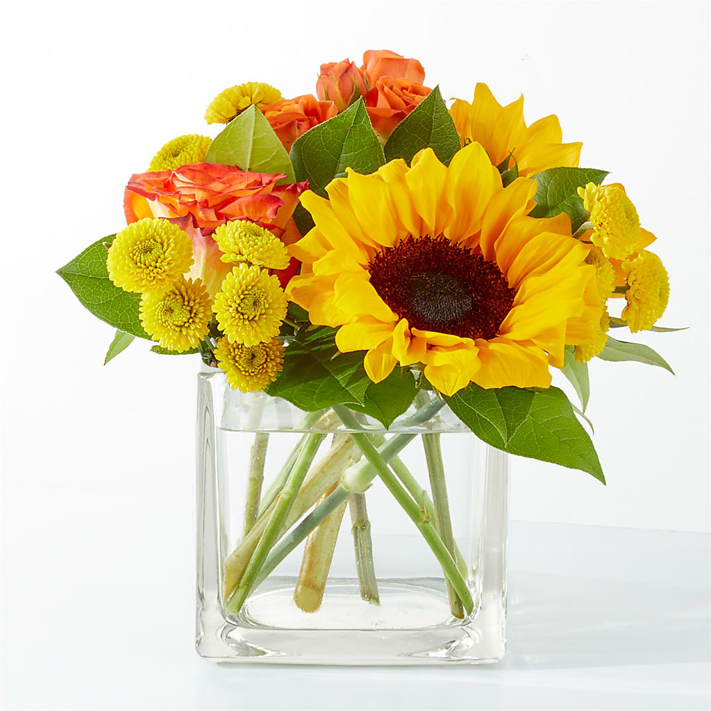 Picnic in the Park Bouquet – Evans-king Floral, Forty Fort PA