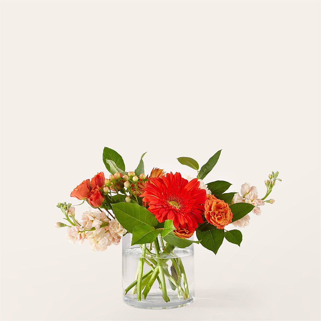 Paloma Please Bouquet – Evans-king Floral, Forty Fort PA