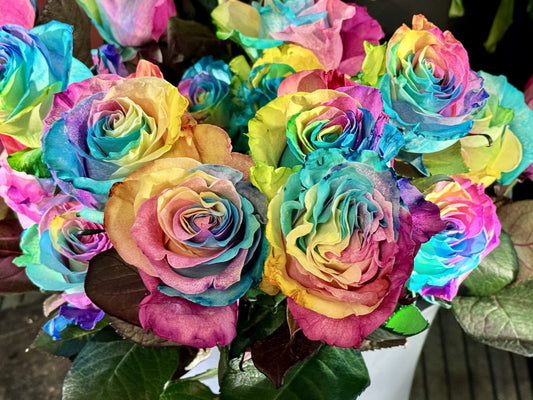 Rainbow Roses