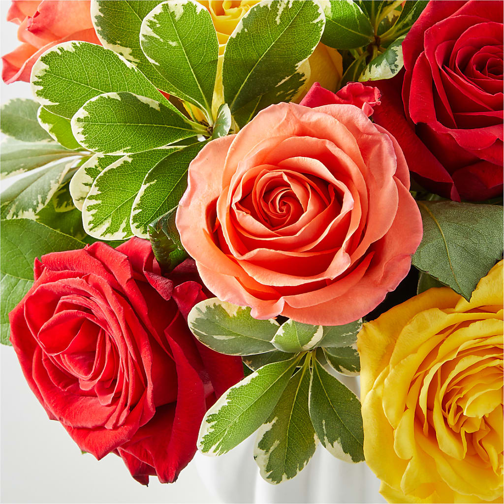 Gourd of Gratitude –  Evans-king Floral, Forty Fort PA