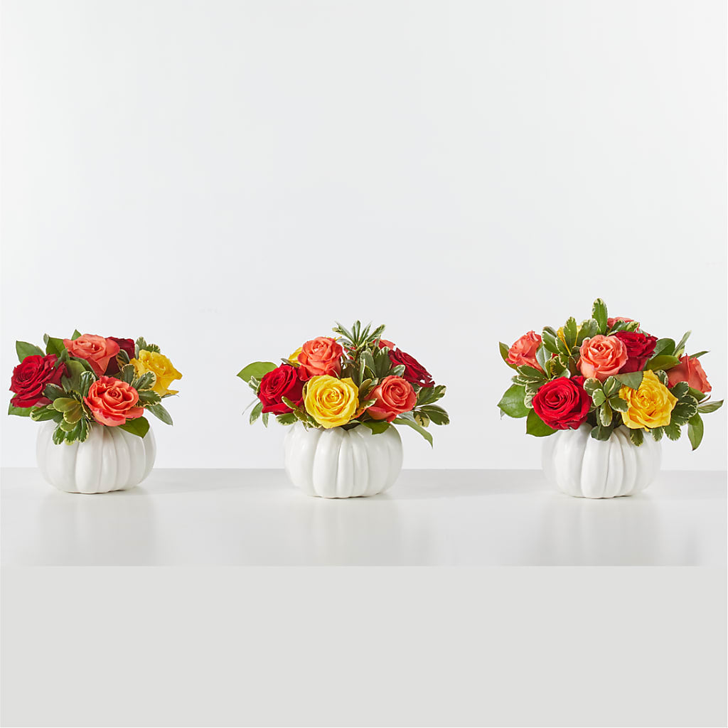 Gourd of Gratitude –  Evans-king Floral, Forty Fort PA