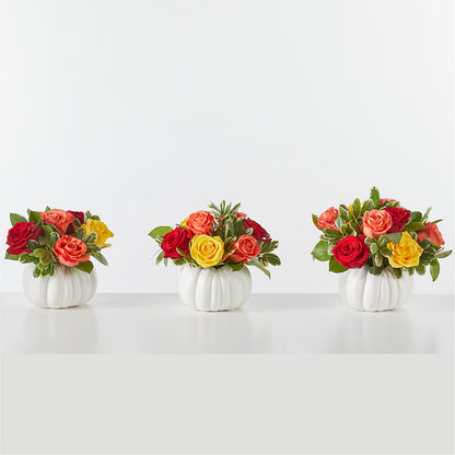 Gourd of Gratitude –  Evans-king Floral, Forty Fort PA