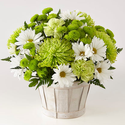 Lucky Charm Basket (Standard) –  Evans-king Floral, Forty Fort PA