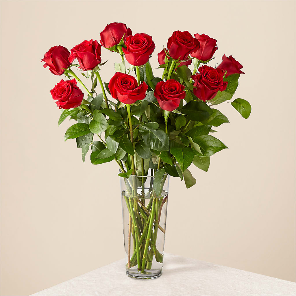 Long-stemmed Red Roses