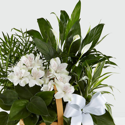 Peace & Serenity Dishgarden –  Evans-king Floral, Forty Fort PA