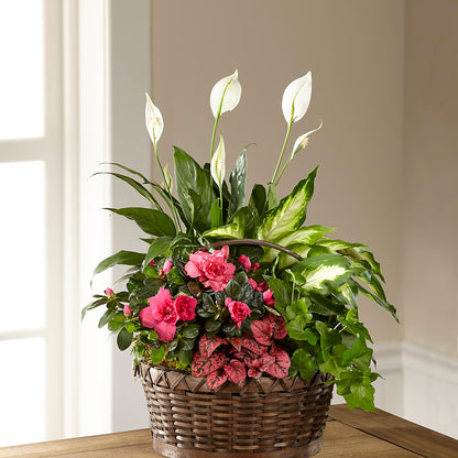 Dream in Pink Dishgarden –  Evans-king Floral, Forty Fort PA