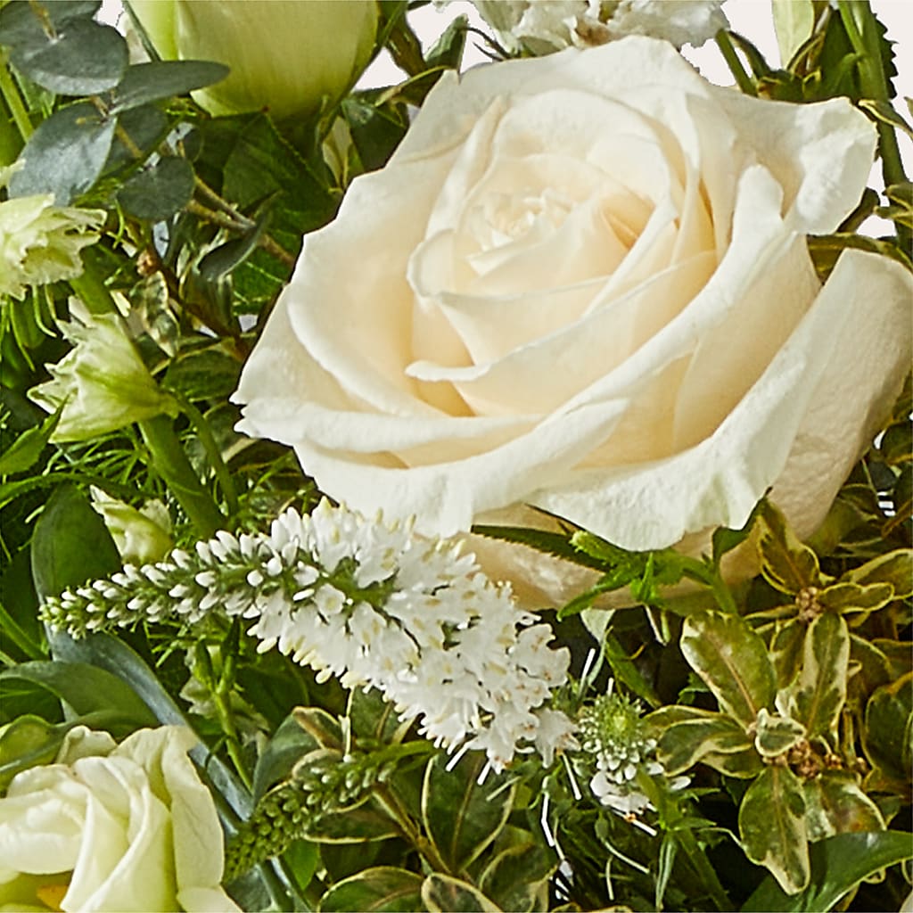 Cashmere Bouquet –  Evans-king Floral, Forty Fort PA
