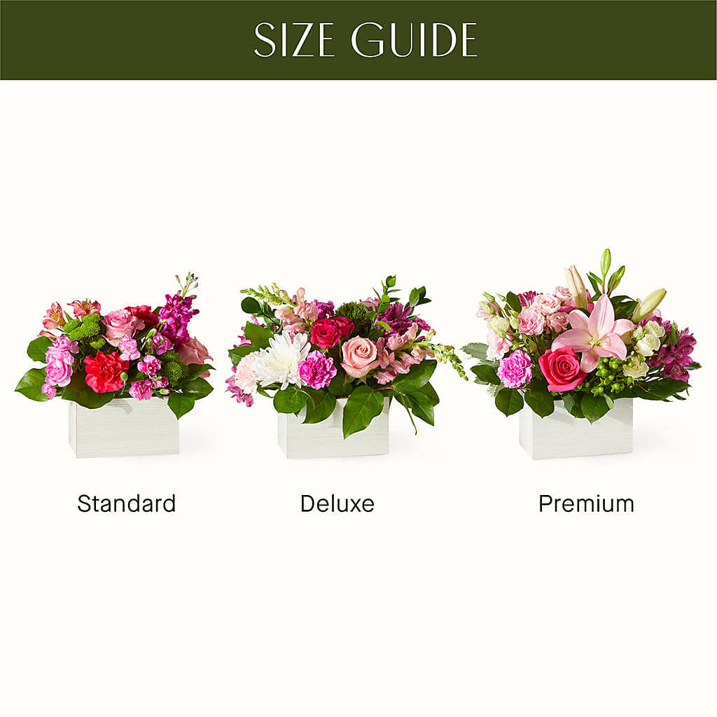Sweetberry Box – A Florist Original –  Evans-king Floral, Forty Fort PA