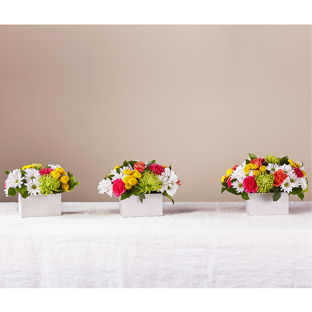 Sorbet Bouquet –  Evans-king Floral, Forty Fort PA