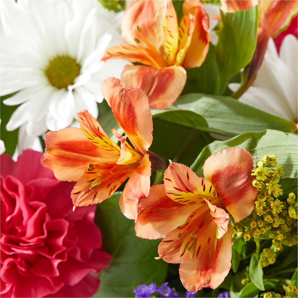 Oopsie Daisy Box Bouquet –  Evans-king Floral, Forty Fort PA