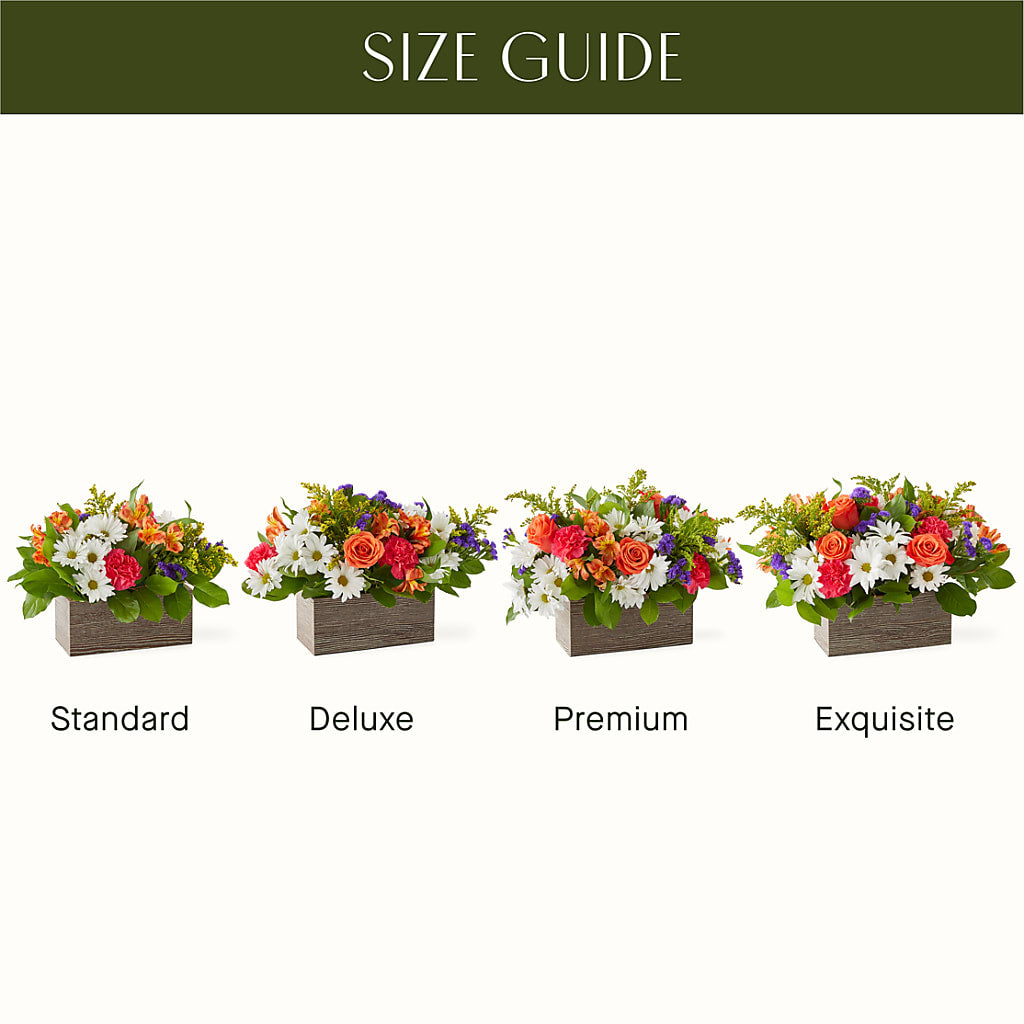 Oopsie Daisy Box Bouquet –  Evans-king Floral, Forty Fort PA