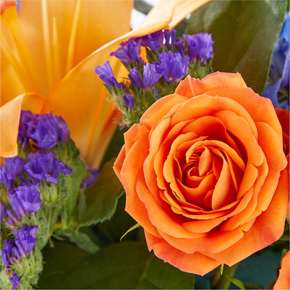Radiant Citrus Box Bouquet –  Evans-king Floral, Forty Fort PA