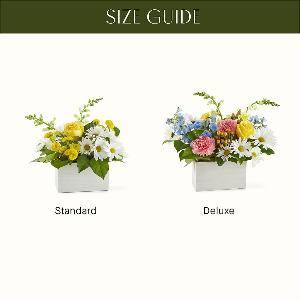 Sun Salutation Box Bouquet –  Evans-king Floral, Forty Fort PA