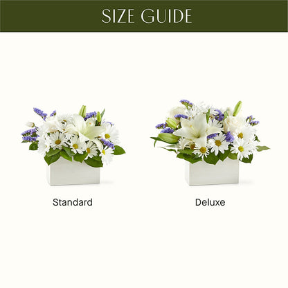Beyond Blue Box Bouquet –  Evans-king Floral, Forty Fort PA