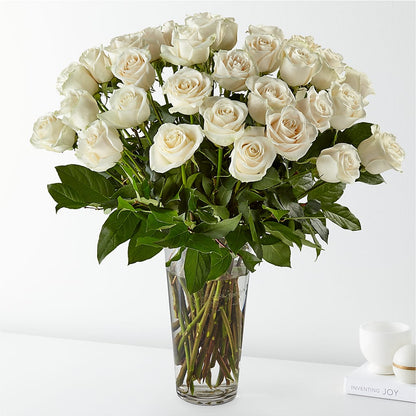 Long-stemmed White Roses