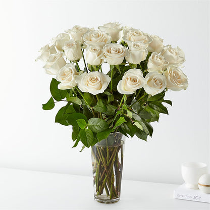 Long-stemmed White Roses