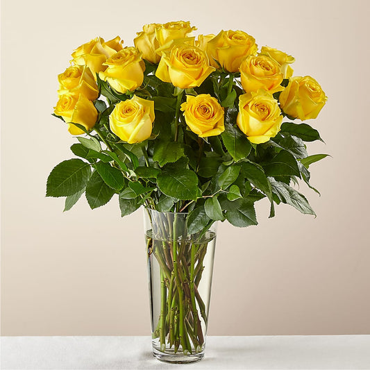 Yellow Long-stemmed Roses