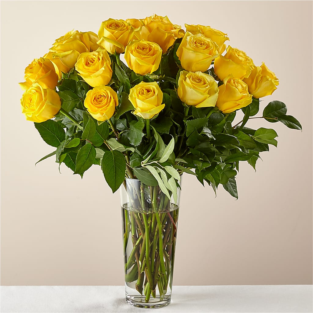 Yellow Long-stemmed Roses