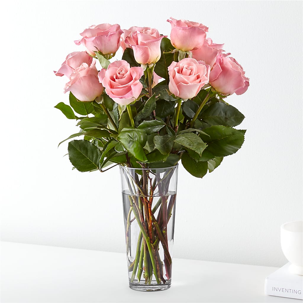 Pink Long-stemmed Roses