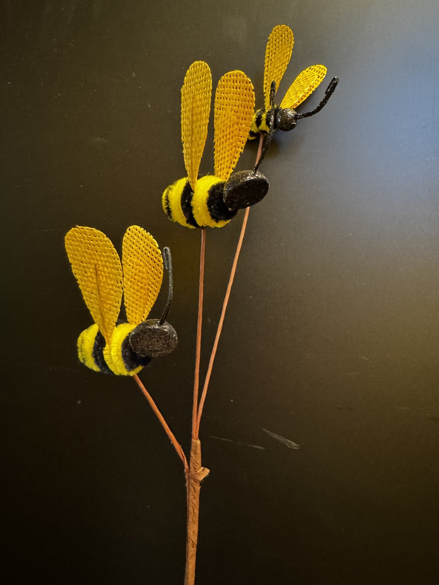 Bumblebee pic