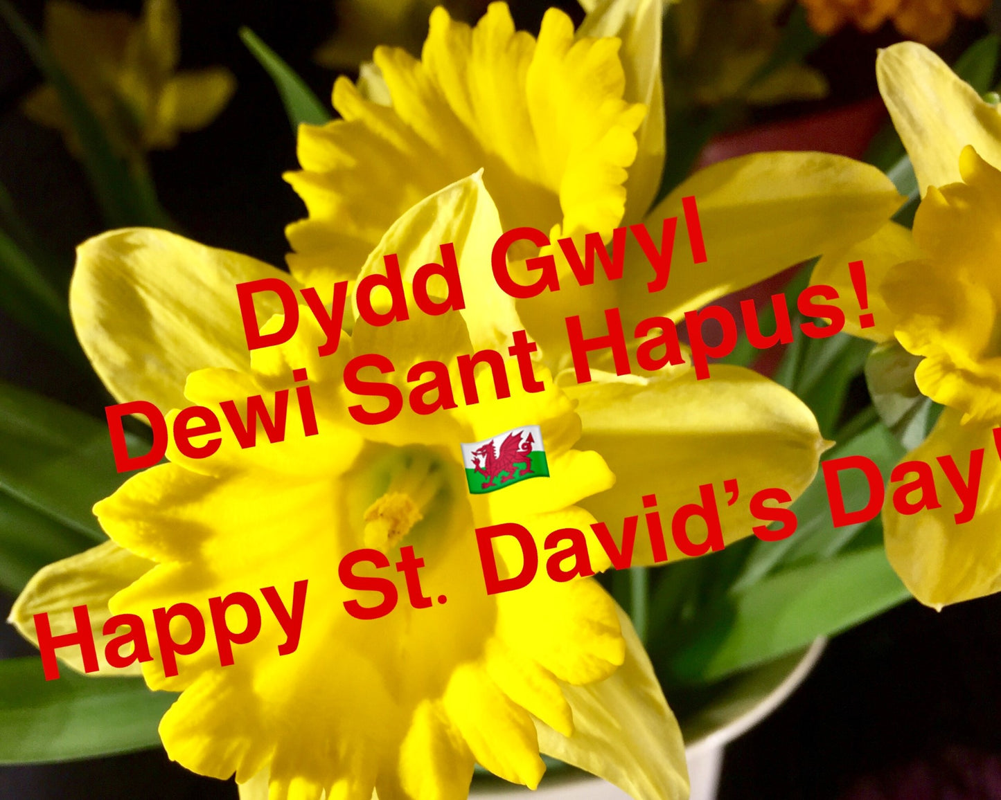 St. David's Day Arrangement