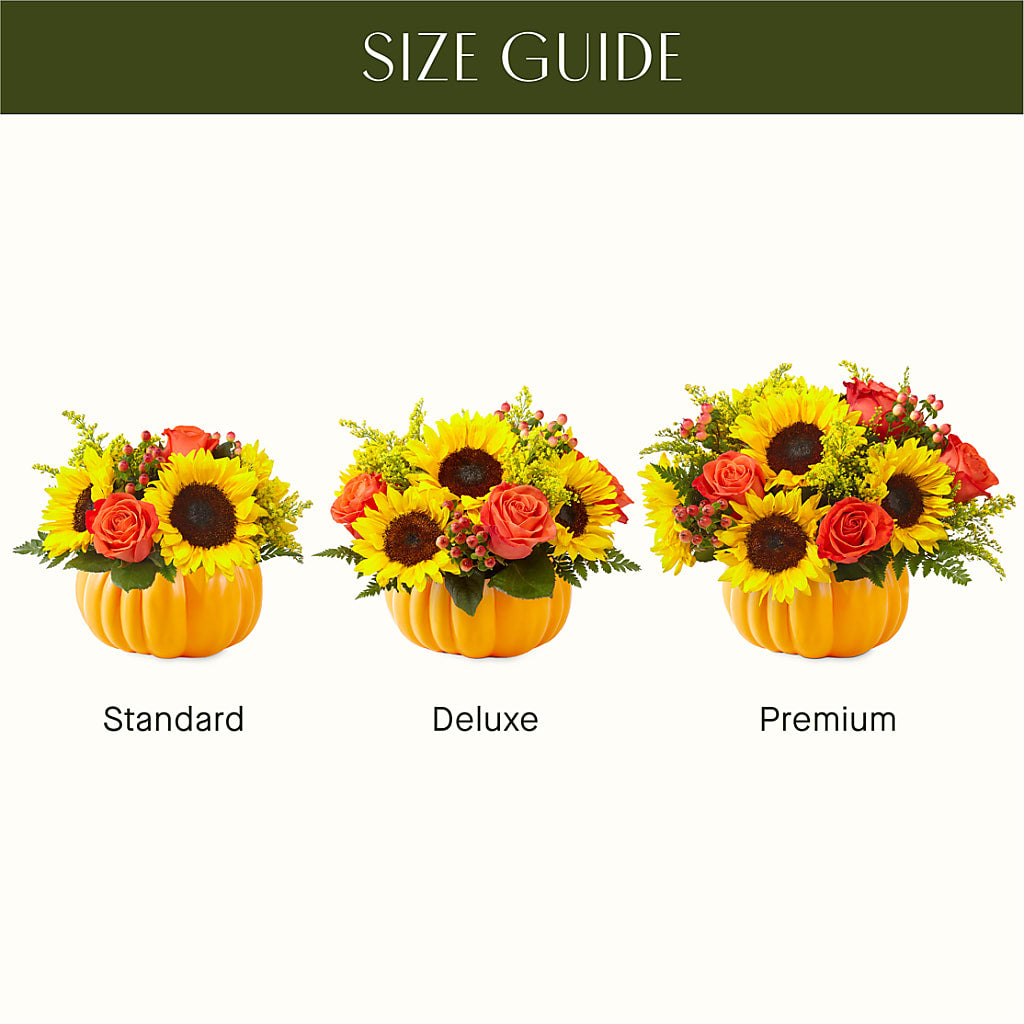 Pick of the Patch Pumpkin Bouquet –  Evans-king Floral, Forty Fort PA