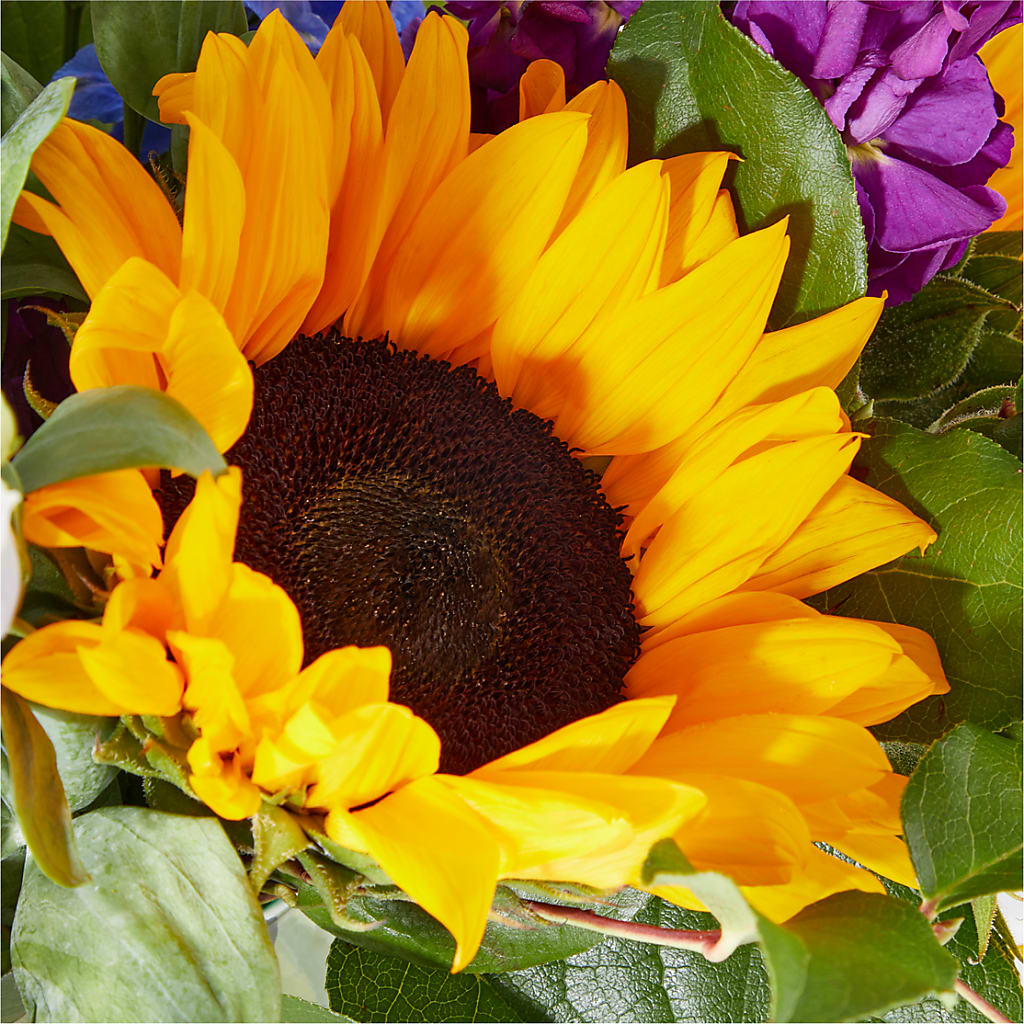 Catching Rays Bouquet –  Evans-king Floral, Forty Fort PA