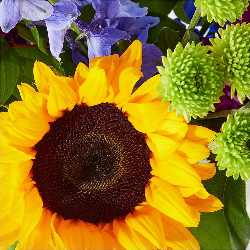 Catching Rays Bouquet –  Evans-king Floral, Forty Fort PA