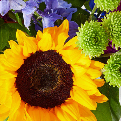 Catching Rays Bouquet –  Evans-king Floral, Forty Fort PA