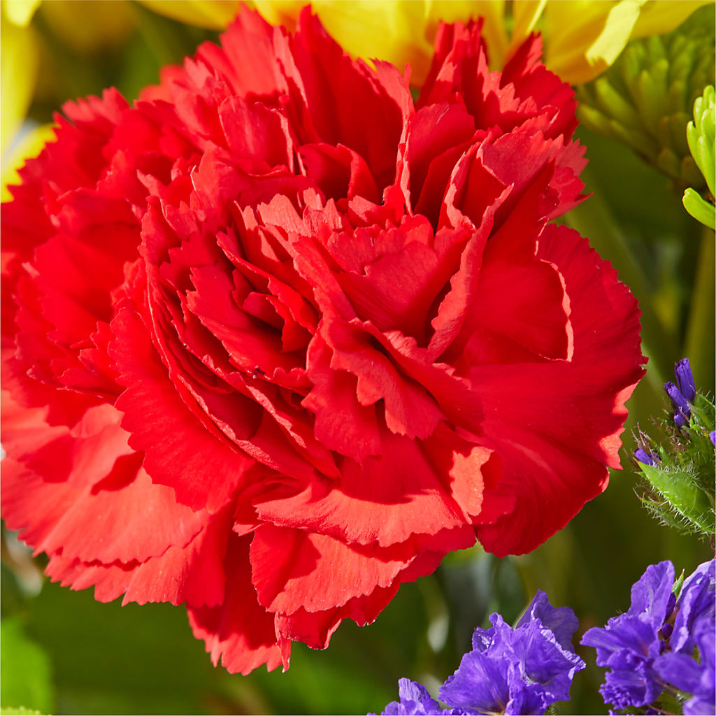 Brighter Days Bouquet –  Evans-king Floral, Forty Fort PA