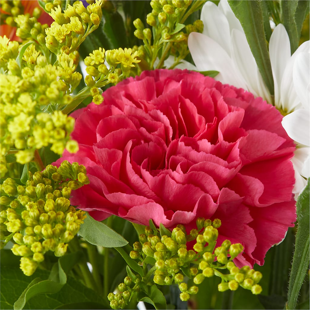 Oopsie Daisy Bouquet –  Evans-king Floral, Forty Fort PA