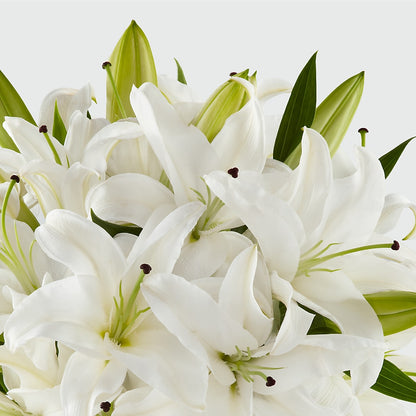 Faithful Blessings Bouquet –  Evans-king Floral, Forty Fort PA