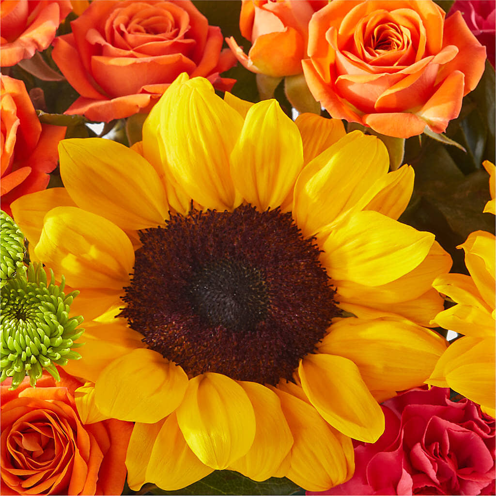 Sun-drenched Blooms Box Bouquet –  Evans-king Floral, Forty Fort PA